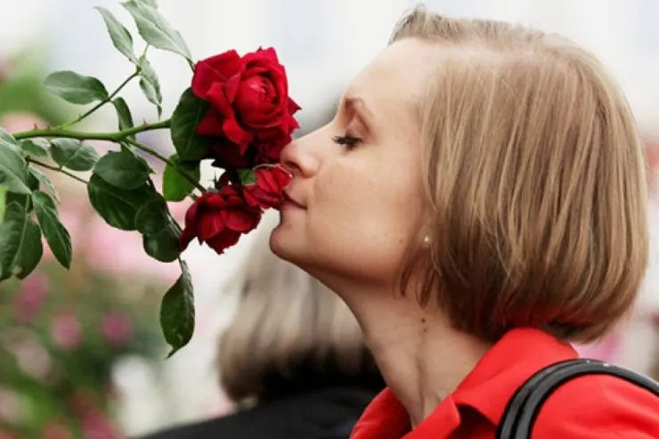 Qoxubilmə hissinin itməsi ölüm XƏBƏRÇİSİDİR 