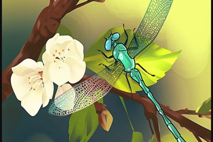 Diqqət və müşahidə TESTİ:  şəkildəki səhvi tapın 