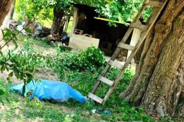 Qaxda qoz çırpan Bakı sakini yıxılıb  öldü