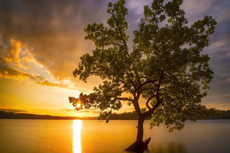 Sabah son günlərin ən yaxşı havası  olacaq - PROQNOZ 