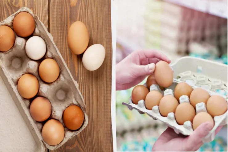 Soyuducuda yalnız bu yumurta  saxlanmalıdır