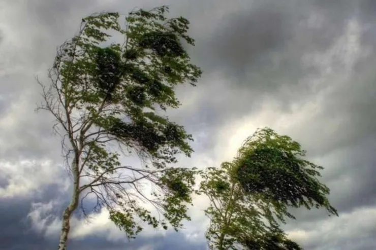 Bakıda və bu rayonlarda güclü külək  əsəcək - XƏBƏRDARLIQ 