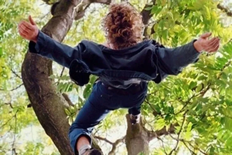 Şəkidə kişi qoz ağacından yıxılıb öldü 