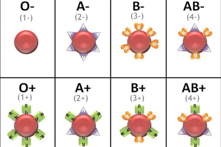 Bu qan qrupundan olanlar daha uzun yaşayır 