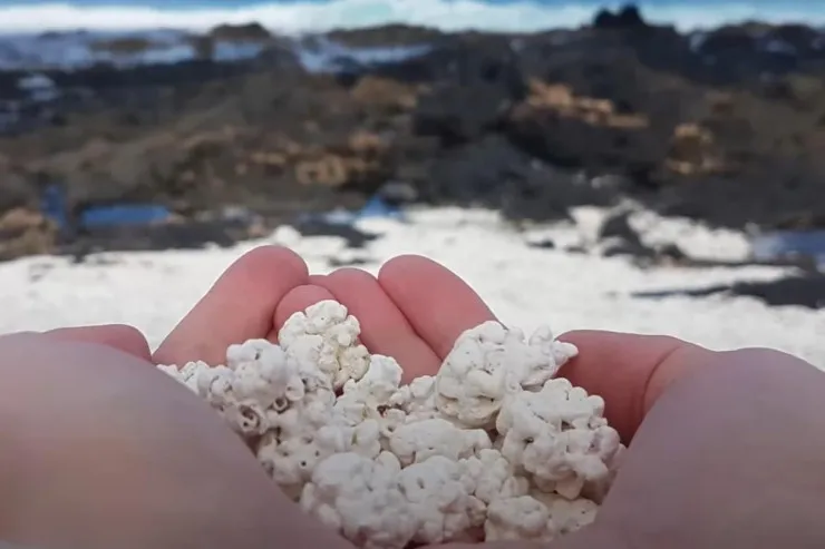 Kanar adalarında qeyri-adi  çimərlik -VİDEO 