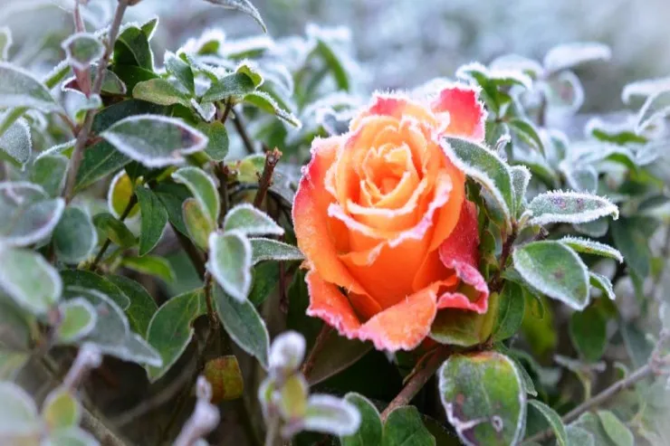 Oktyabr ayının hava PROQNOZU - Şaxta da olacaq 