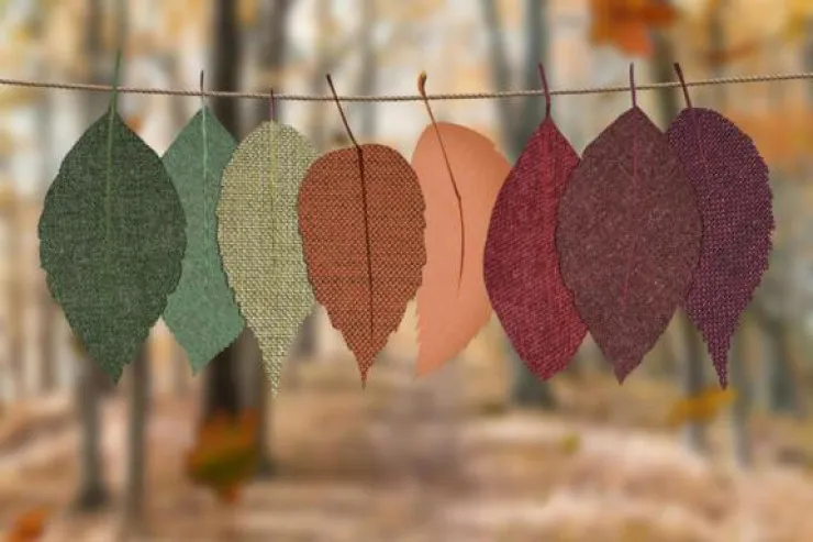 Payız və qışda müsbət əhval-ruhiyyəni  qorumaq üçün TÖVSİYƏLƏR 