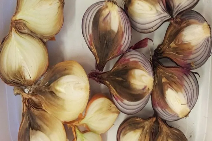 Niyə soğan çürüyür?  - Evdar qadınların 90 faizinin etdiyi səhv 