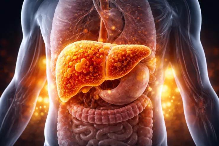 Bədənimizin ən çox yağ toplanan  "anbarı"