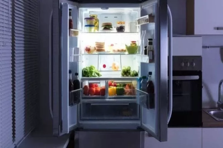 Qadın soyuducudan yeməyin yoxa çıxdığını  gördü: gözlənilməz oğrular -  VİDEO 