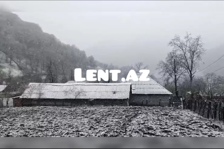 Zaqatalaya qar yağdı - VİDEO 