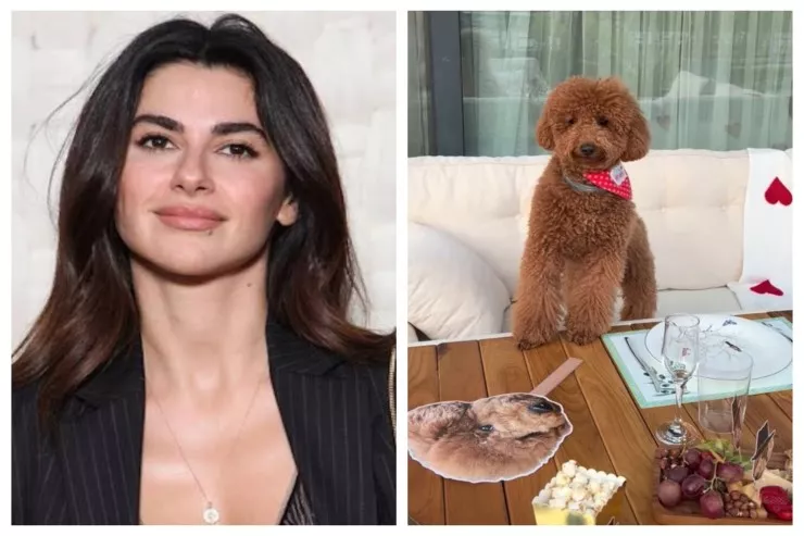 Nəsrin Cavadzadə itinə ad günü  keçirdi: "Doğum günün mübarək, eşqim" 