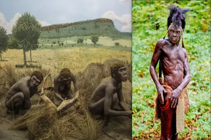 Nəhayət, ibtidai insanların danışmağa başladığı tarix  müəyyən edildi