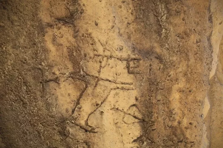 Qobustan qayalarında yeni təsvirlər  aşkarlandı