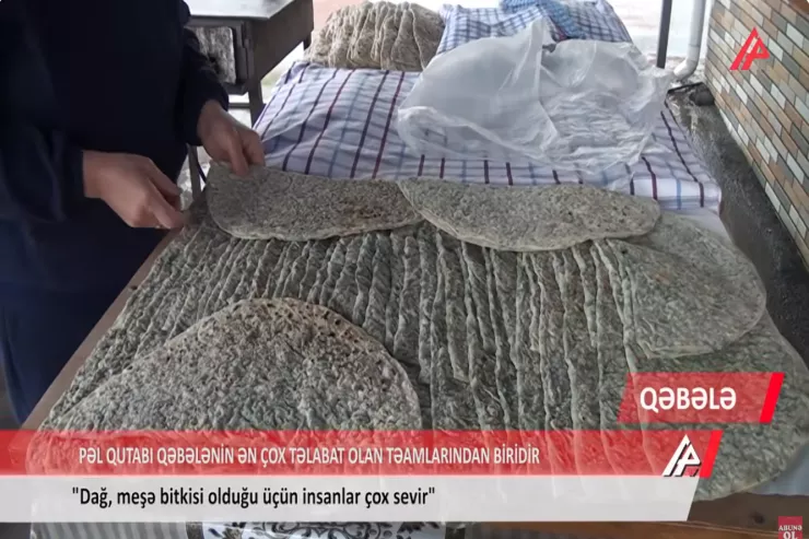 Pəl qutabı  niyə bu qədər məşhurdur? – Növbəyə baxın... -VİDEO 