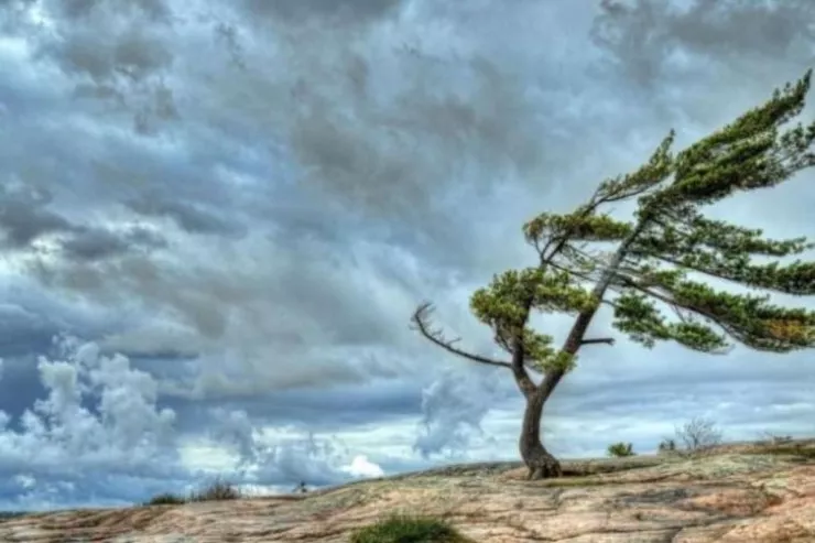 Güclü külək XƏBƏRDARLIĞI 