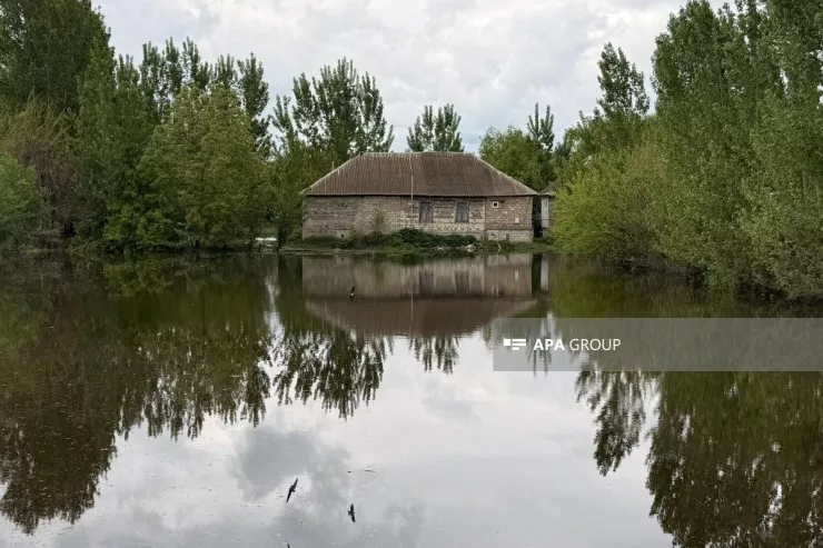 Kür daşdı,  Zərdabı su basdı - FOTO 