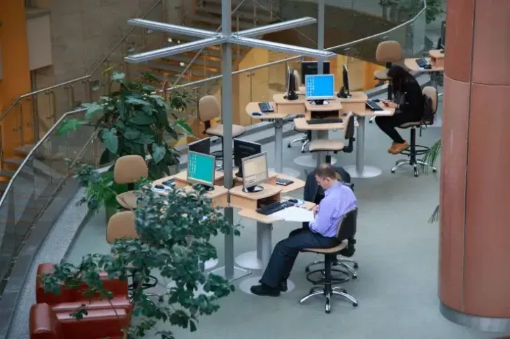 5 ildən sonra bu peşələr   yox olacaq - İş yerlərinizi dəyişməyə  hazırlaşın