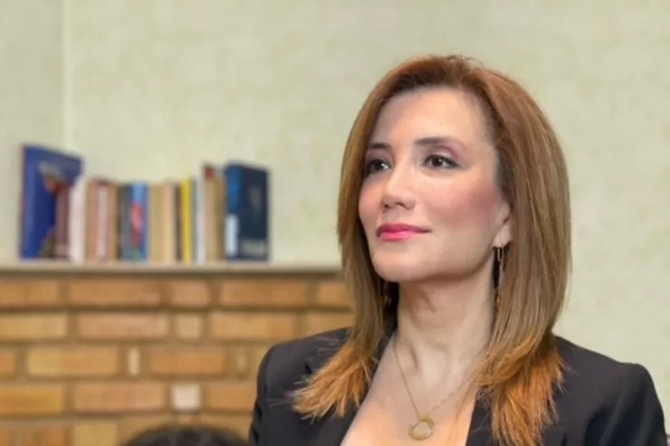 Gültəkin Hacıbəyli Azərbaycana deportasiya edildi 