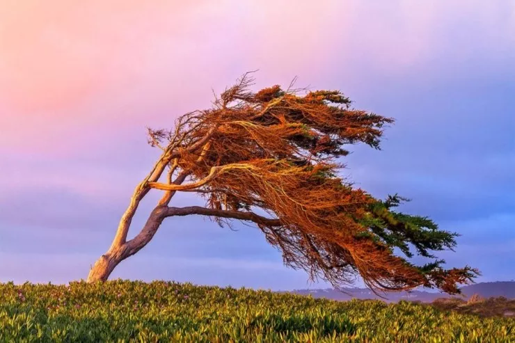 Külək XƏBƏRDARLIĞI 