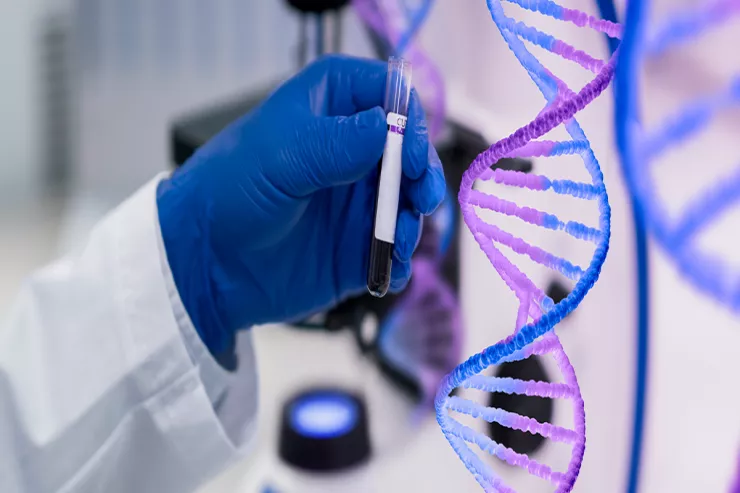 DNT-niz haqqında sizi təəccübləndirəcək ən gözlənilməz faktlar 