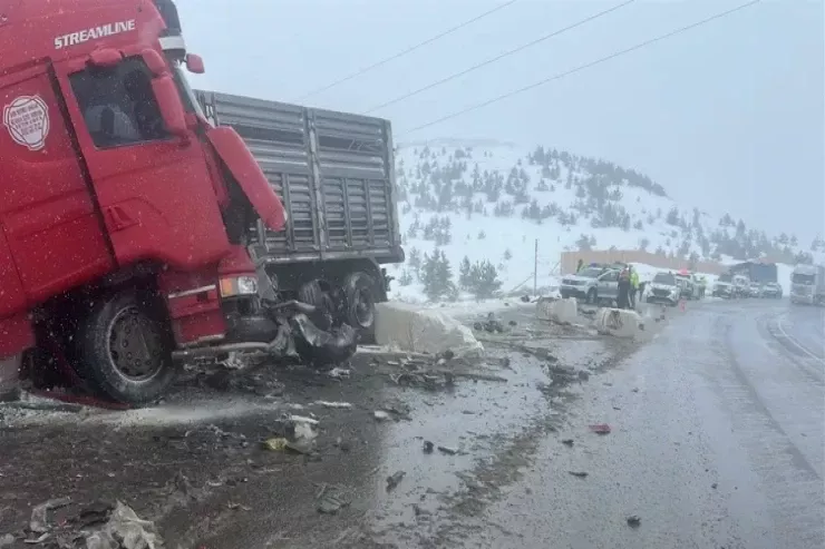 Azərbaycanlı sürücü yol qəzasında öldü 
