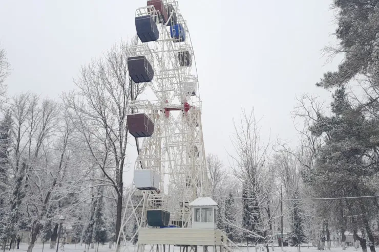 Zaqatala ağ örpəyə büründü - FOTOLENT 