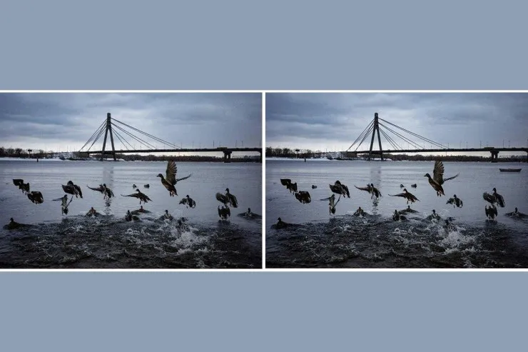 Bu ördək şəkillərindəki 3 fərqi 10 saniyədə  tapın: Möhtəşəm TAPMACA 