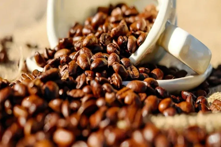 Qəhvə notlu ətirlər:  bu qış üçün ən yaxşı 5 aroma 