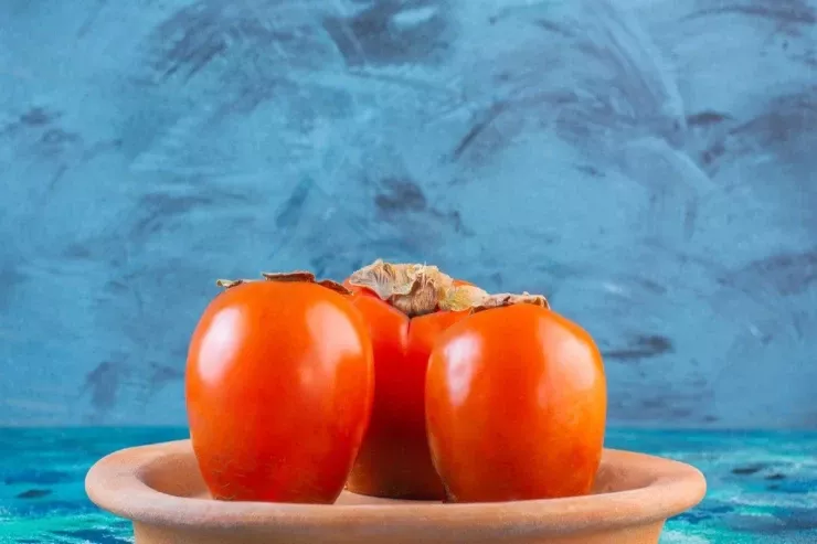 Xurmanın məşhur növlərini necə seçməli,  nələrə diqqət etmək  lazımdır?