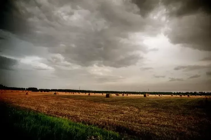 Dünyanın ən böyük sərvəti orada saxlanılır - Bank deyil 