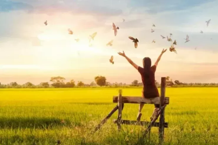 Xoşbəxt olmağın sadə yolu  