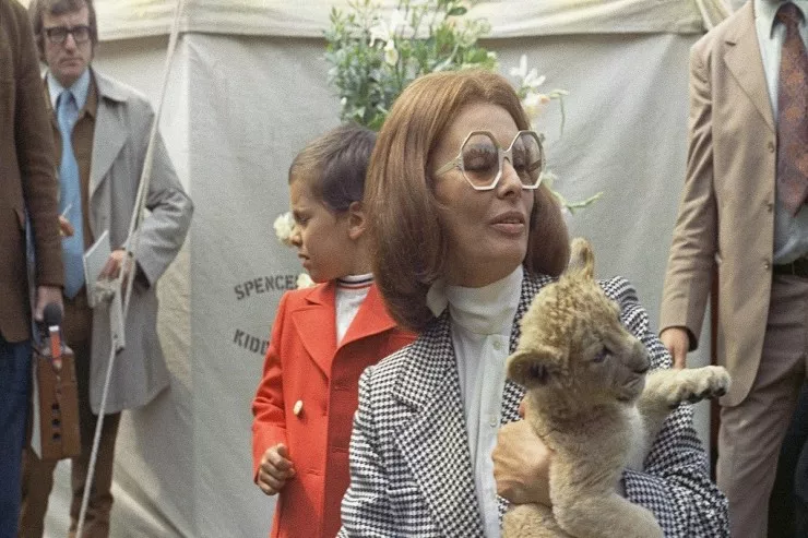 Əfsanənin qayıdışı:  60-cı illərin saç kəsimi  yenidən dəbdə