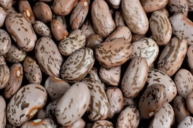 Yuxuda lobya  görmək nə deməkdir?