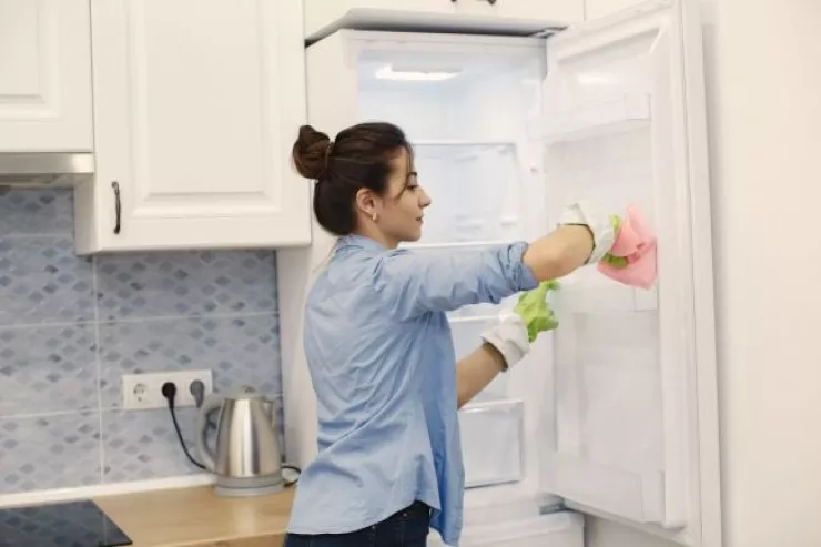 Soyuducuda təravətin sirri - Pis qoxulardan qurtulun 