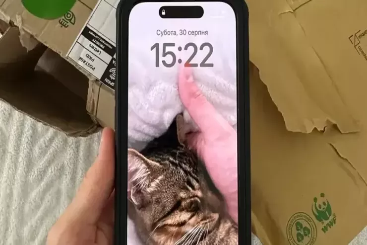 iPhone istifadəçilərinin NƏZƏRİNƏ:  təcili iOS-u yeniləyin 