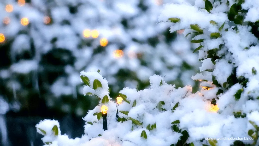Şimşək, dolu, qar  - Sabahın HAVASI