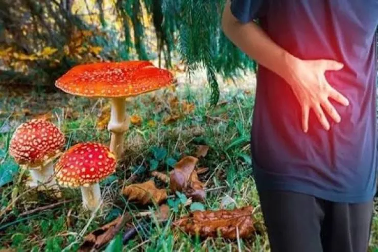 Tərtərdə kişi göbələkdən   zəhərləndi