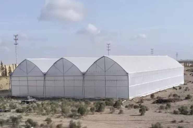 Bakıda kişi işlədiyi "parnik"i  qarət etdi