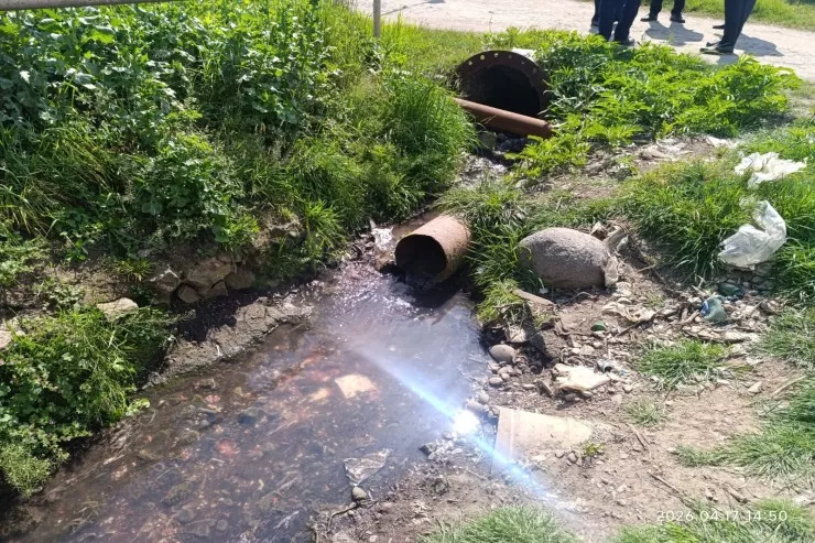 Toyuqları kəsib qanını Xəzərə axıdanlar  CƏZALANDIRILDI