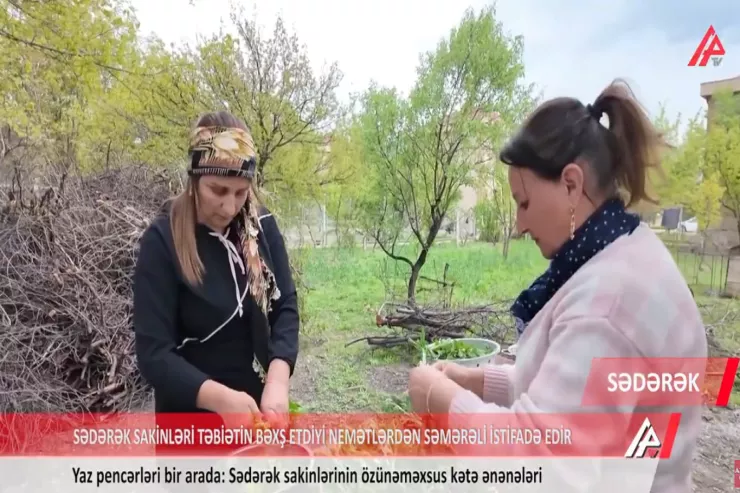 Sədərəklilərin kətəsi  başqa aləmdi – Baxın, ağzınız dada gəlsin -VİDEO 