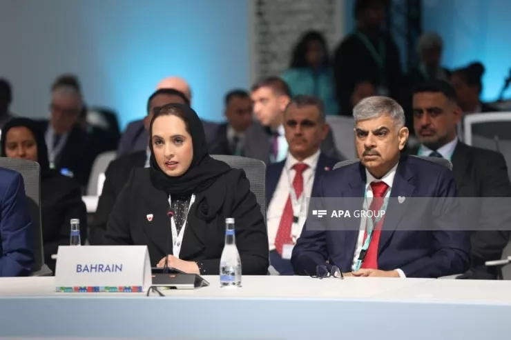 Bəhreynli nazir: Son hücumlar zamanı yaşayış məntəqələri də hədəfə alınıb